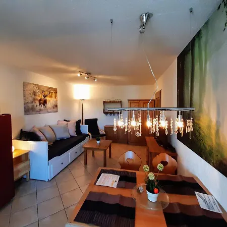 Residenz Schauinsland, Ganzes Appartement, Sauna Todtnau Buitenkant foto