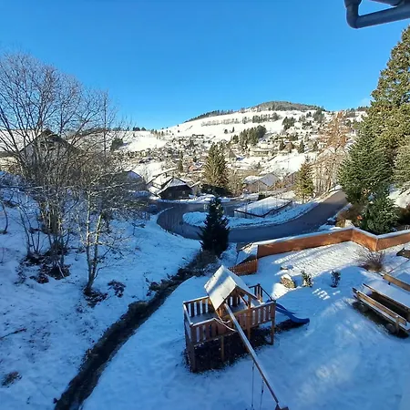 Residenz Schauinsland, Ganzes Appartement, Sauna Todtnau Buitenkant foto