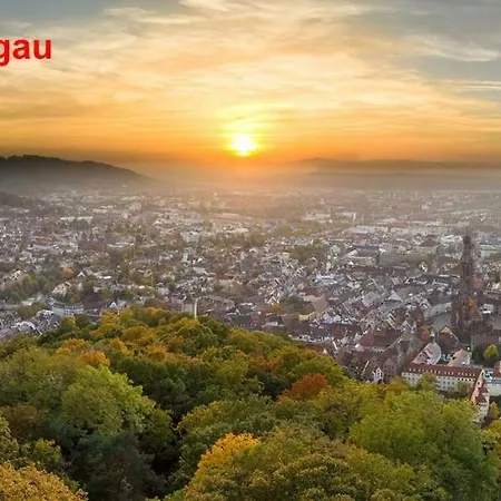 Residenz Schauinsland, Ganzes Appartement, Sauna Todtnau Buitenkant foto