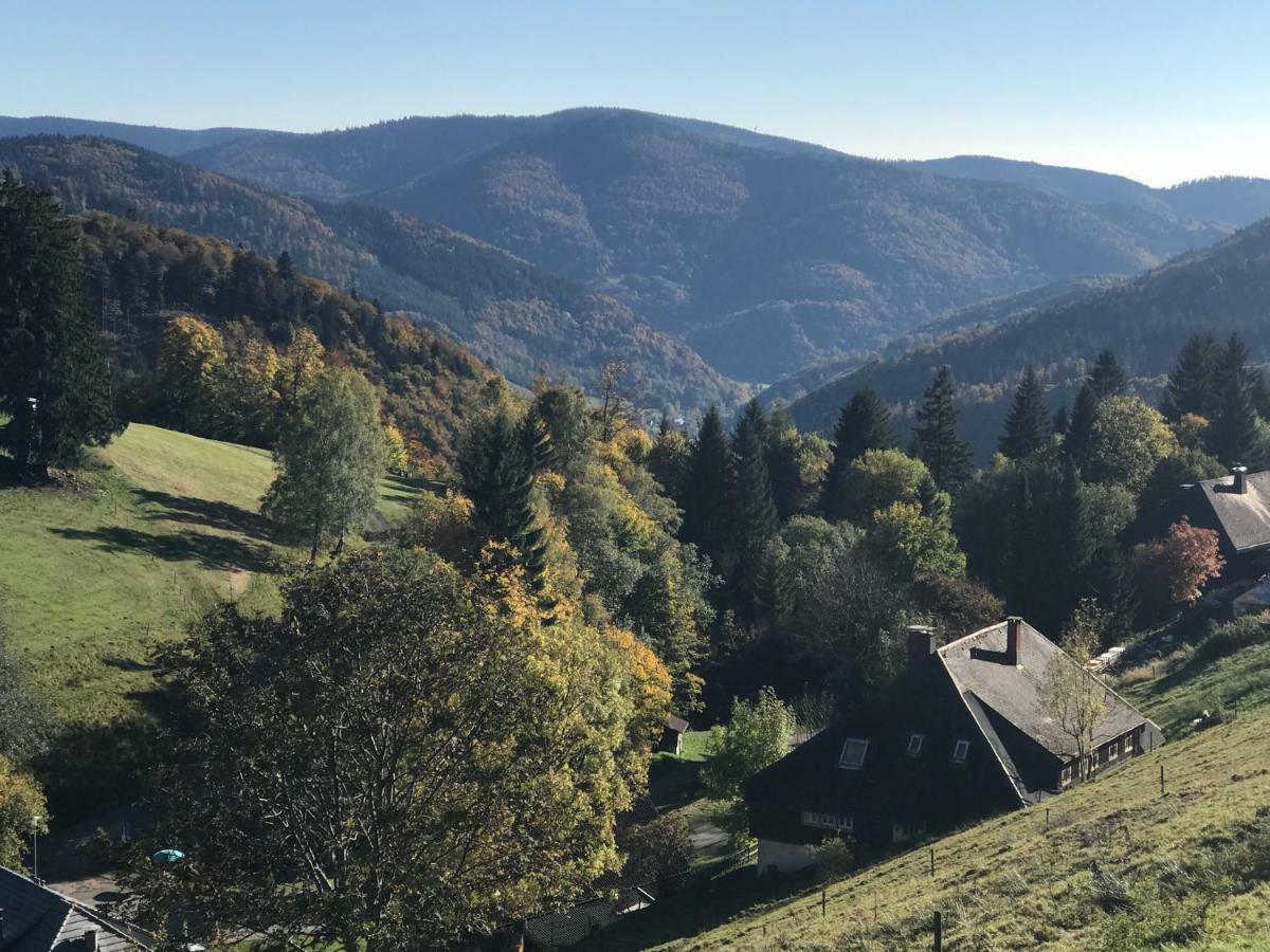 Residenz Schauinsland, Ganzes Appartement, Sauna *