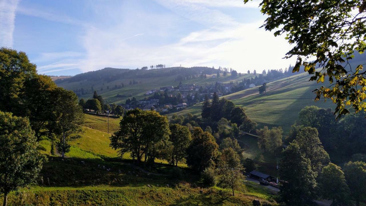 Residenz Schauinsland, Ganzes Appartement, Sauna Todtnau
